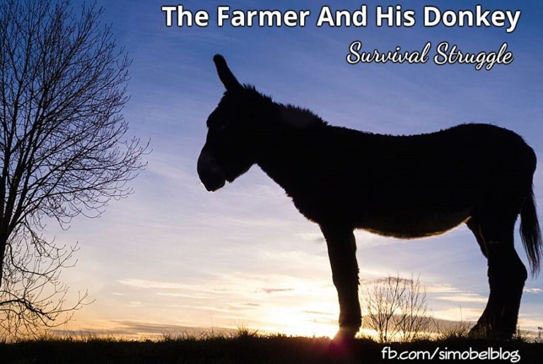 The Farmer And His Donkey – Survival Struggle