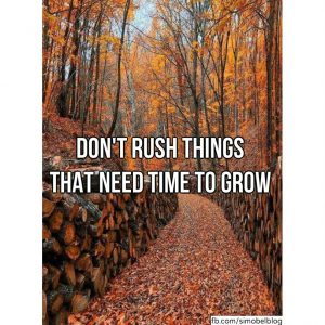 Don't rush things that need time to grow